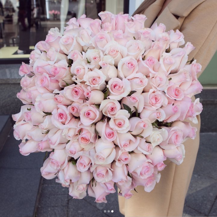 Розы "Пинк бум" в Краснодаре