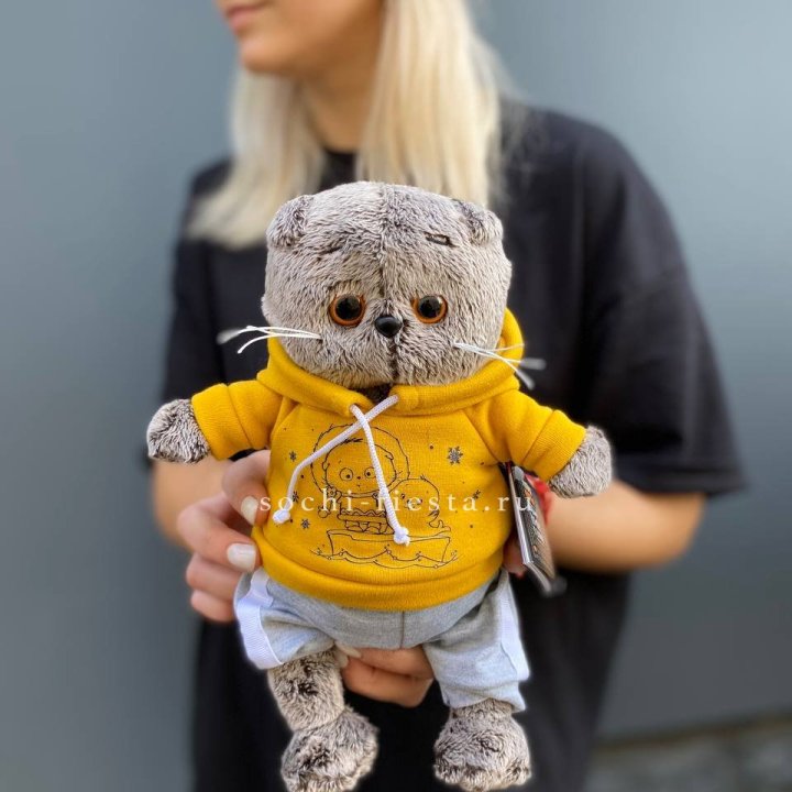 Кот Басик в худи в Краснодаре