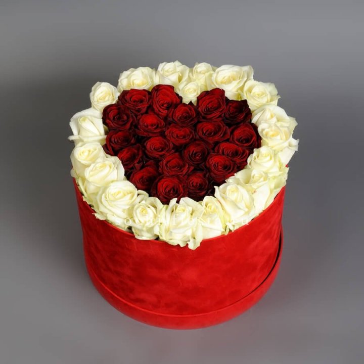 39 красных и белых роз в цилиндре в Краснодаре