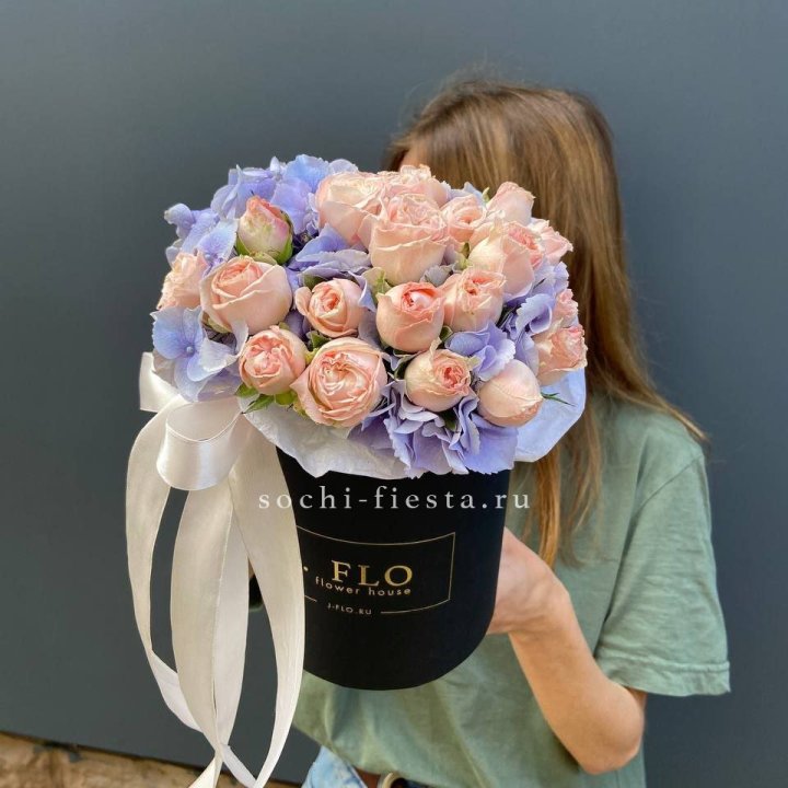 Бокс бомбастик и гортензия в Краснодаре