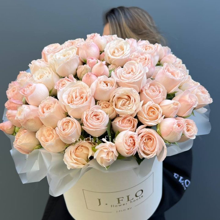 Бомбастик бокс Премьер в Краснодаре