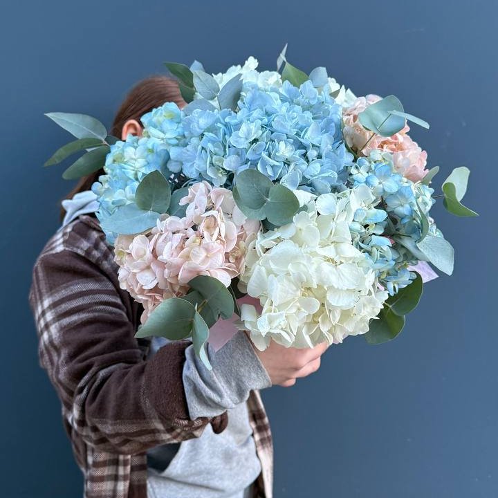 Гортензии в коробочке в Краснодаре