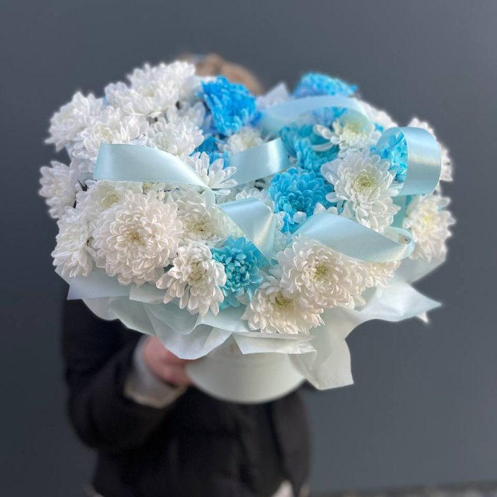 Хризнтемы в боксе в Краснодаре