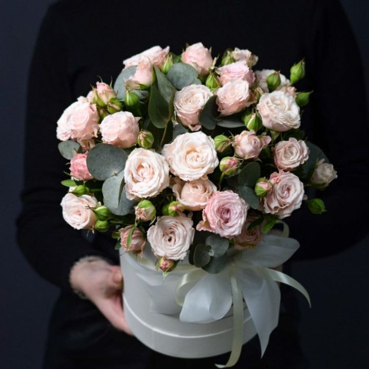 Бомбастик бокс №2 в Краснодаре