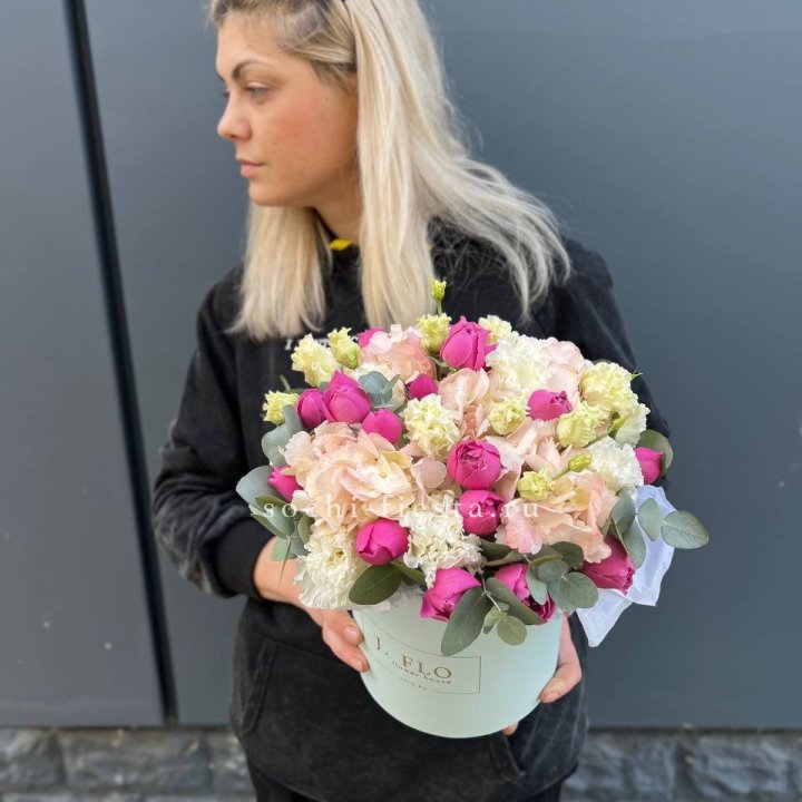 Сборный бокс премьер в Краснодаре