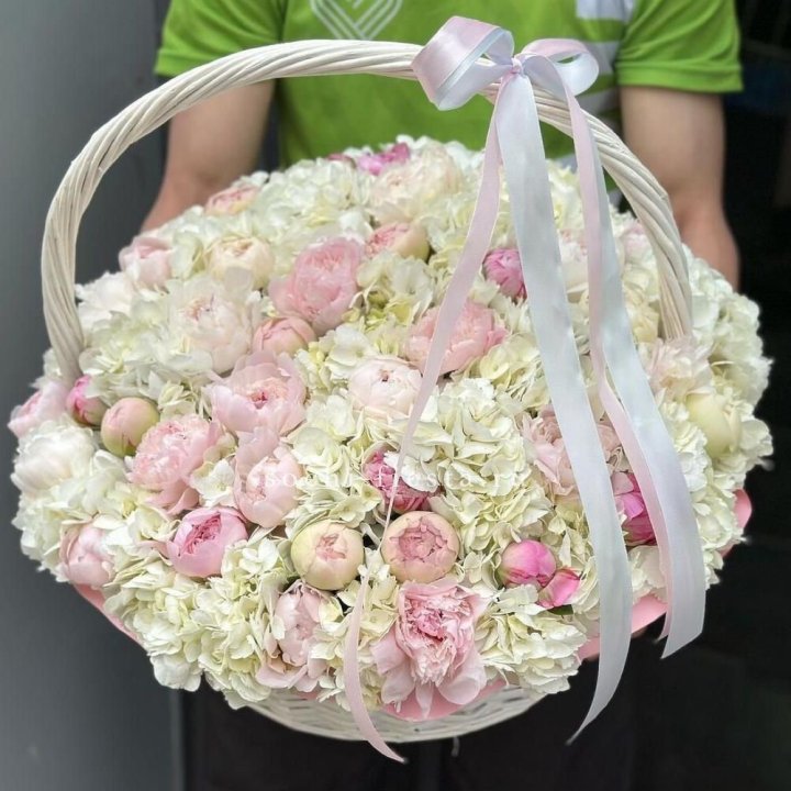 Премиум корзина гортензий и пионов в Краснодаре