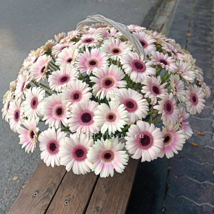 Корзина с герберами  в Краснодаре