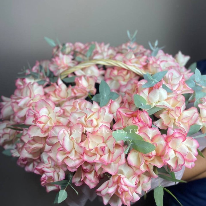 51 джумилия  в корзине   в Краснодаре