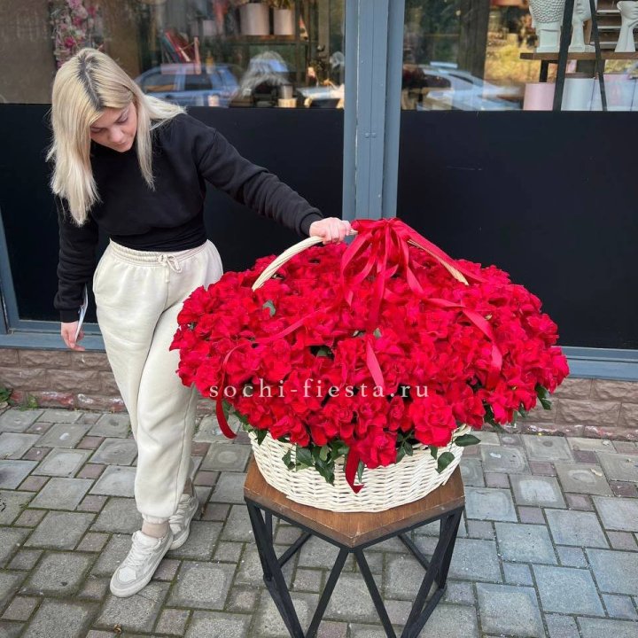 201 французская красная роза в Краснодаре