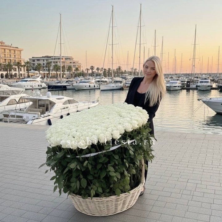 301 высокая роза в корзине в Краснодаре