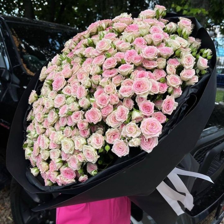 101 кустовая роза "Твистер" в Краснодаре