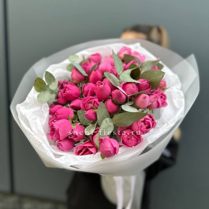 17 Мисти бабблс в Краснодаре