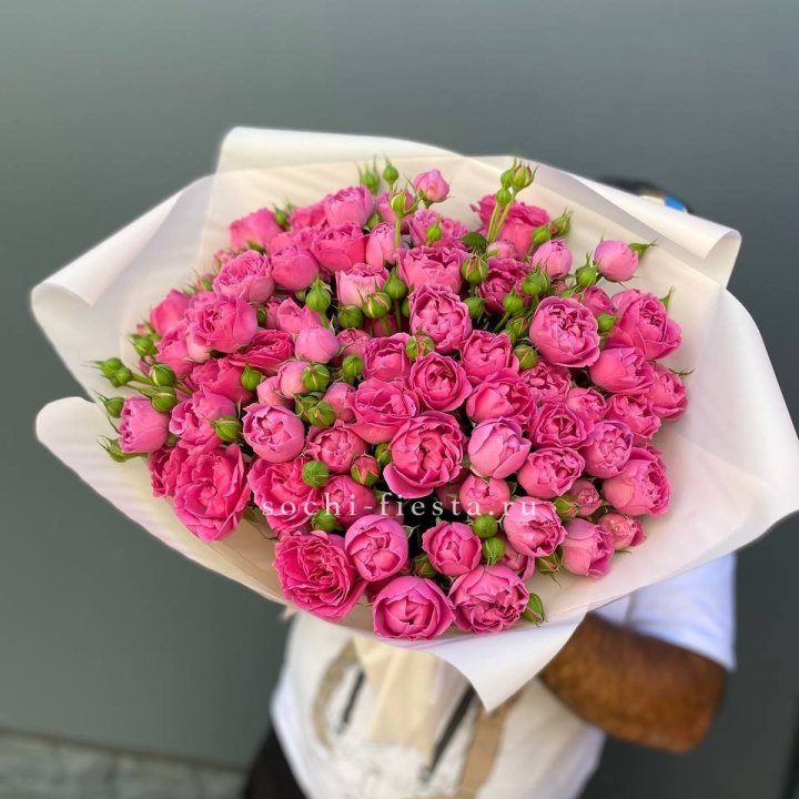 Мисти Баблс 35шт в Краснодаре