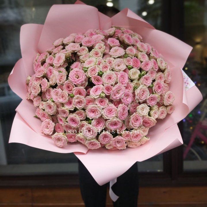 51 кустовая роза Твистер в Краснодаре