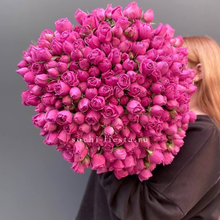 101 пионовидная Мисти Баблс в Краснодаре