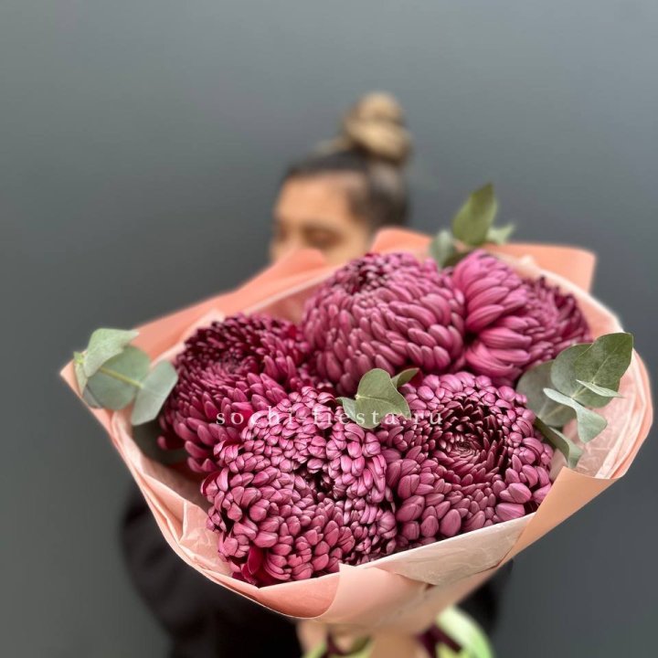 Хризантемы  Бигуди  в Краснодаре