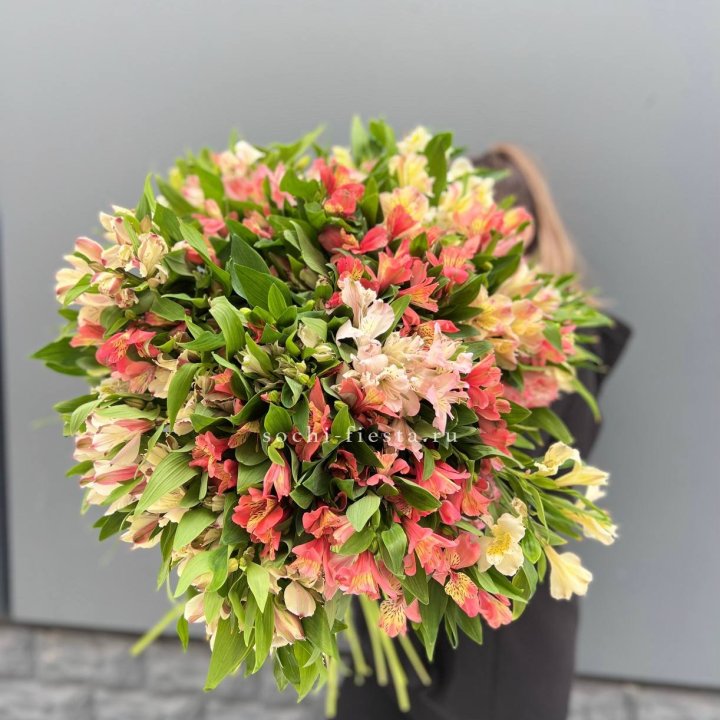 51 альстромерия в Краснодаре