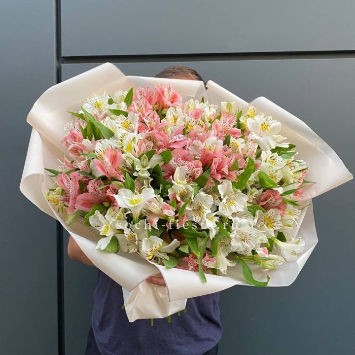 39 альстромерий в Краснодаре