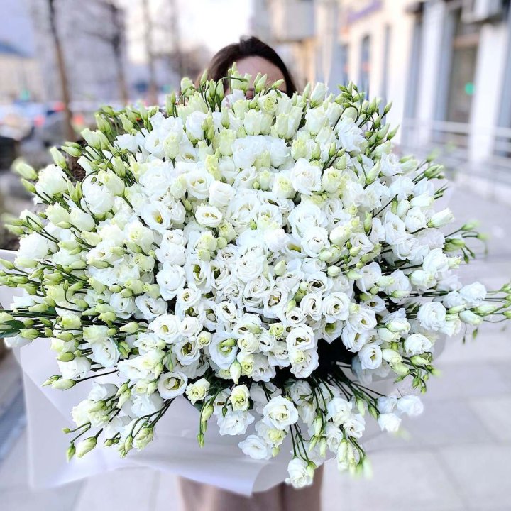 101 белая эустома в Краснодаре