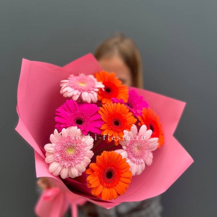 Краски в Краснодаре