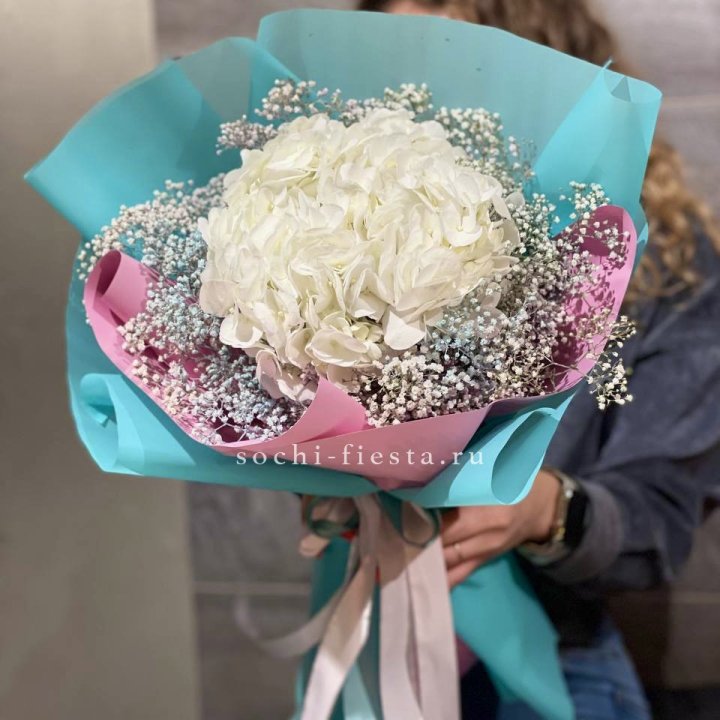 Гортензия "Райдов" в Краснодаре