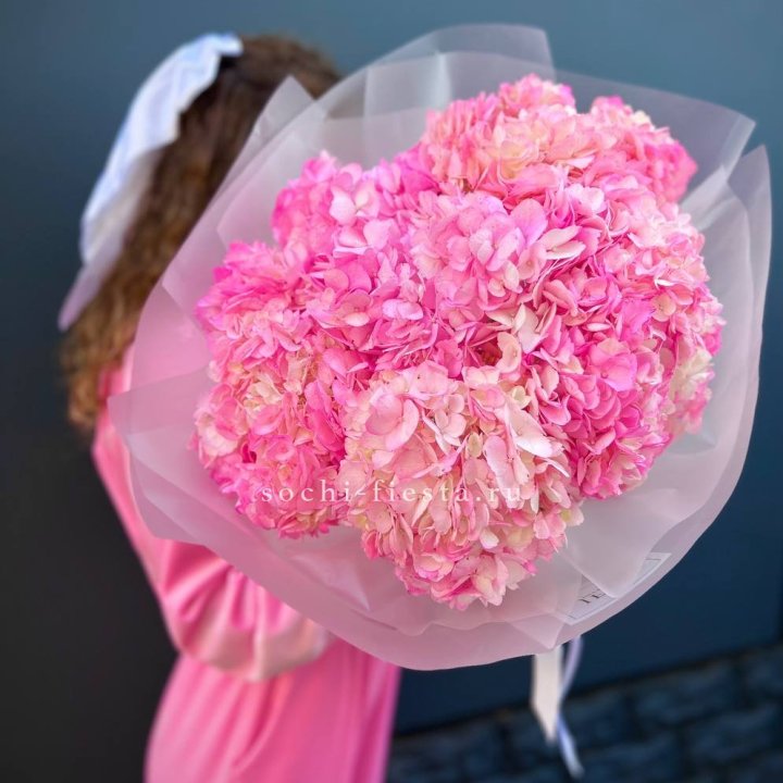 7 ярко розовых гортензий в Краснодаре