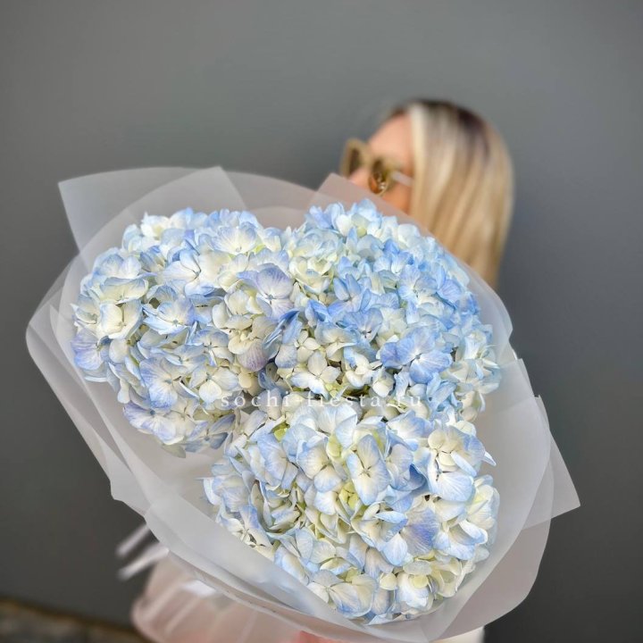 Букет из 3 голубых гортензий  в Краснодаре