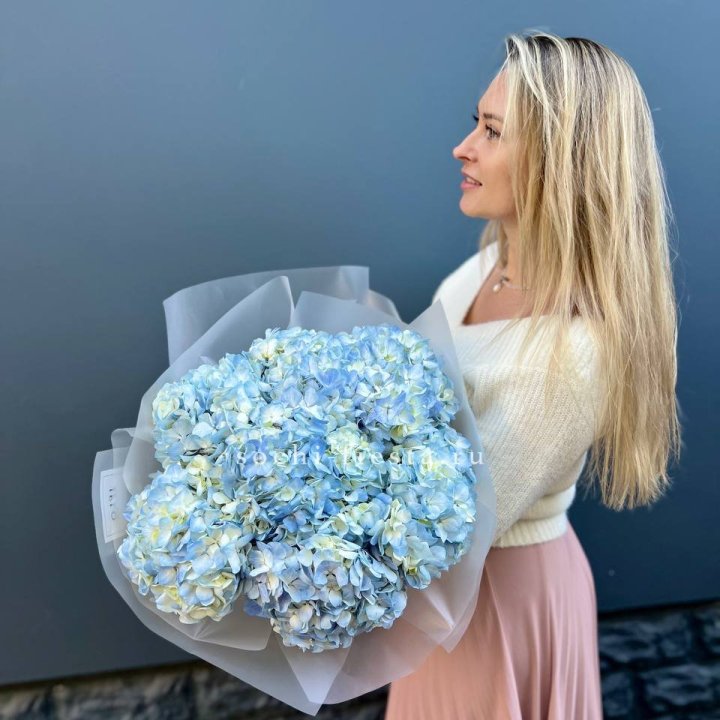 7 голубых гортензий в Краснодаре