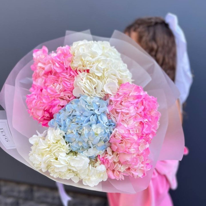 7 гортензий микс в Краснодаре
