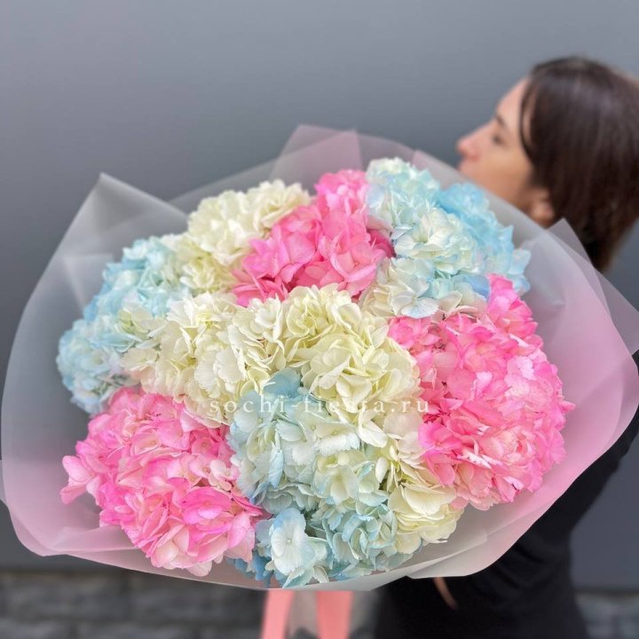 9 гортензий микс в Краснодаре
