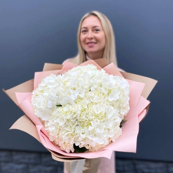 Гортензия белая в Краснодаре