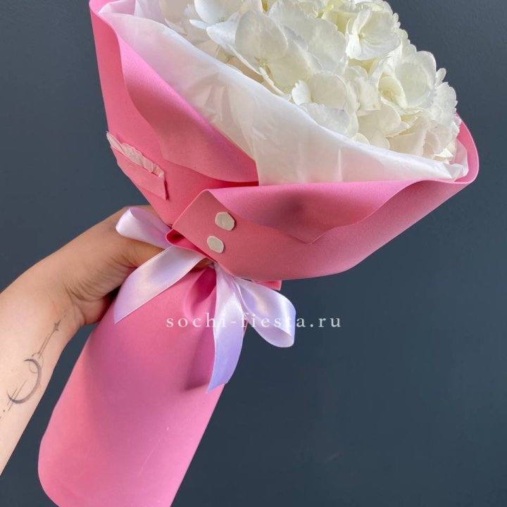 Гортензия в розовом пиджаке в Краснодаре