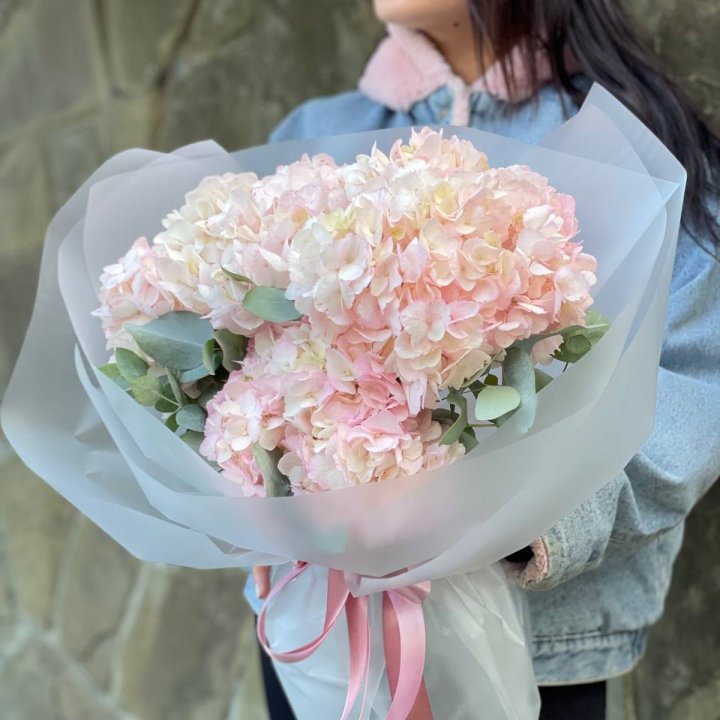 5 розовых гортензий в Краснодаре