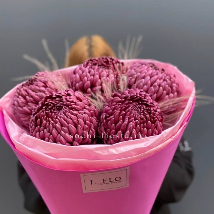 Хризантемы  Бигуди с стифой в Краснодаре