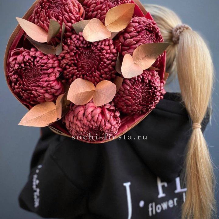 Хризантемы "Голд шоколад" в Краснодаре