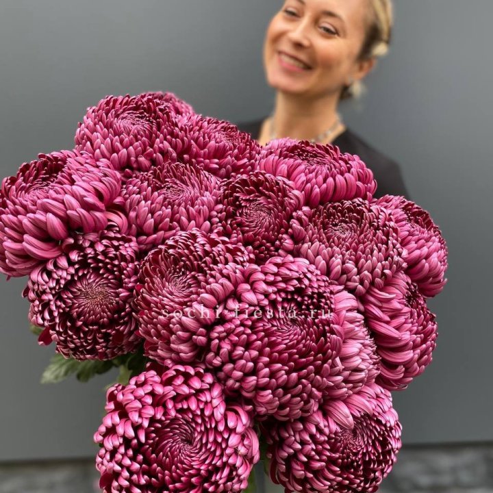 Охапка хризантем Бигуди в Краснодаре