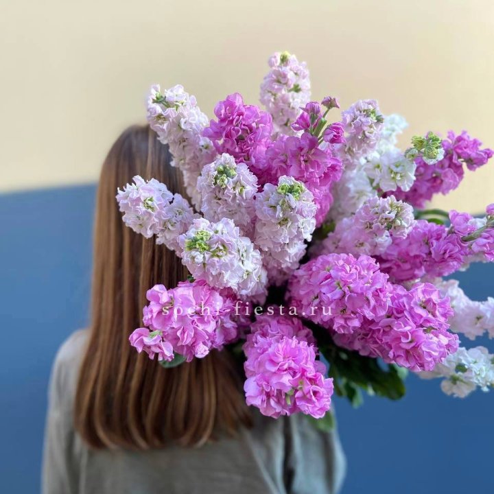 Охапка маттиолы в Краснодаре