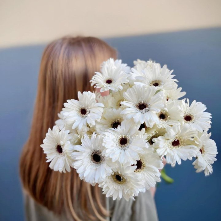 Охапка гербер в Краснодаре