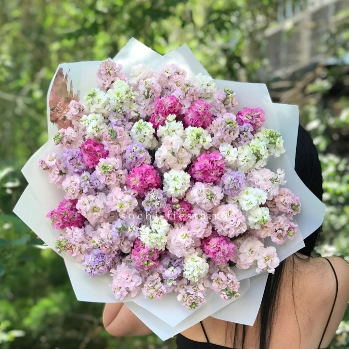 Букет ароматной маттиоллы №3 в Краснодаре