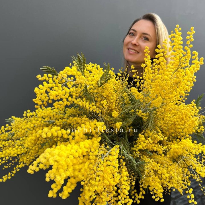 Охапка мимозы №2 в Краснодаре