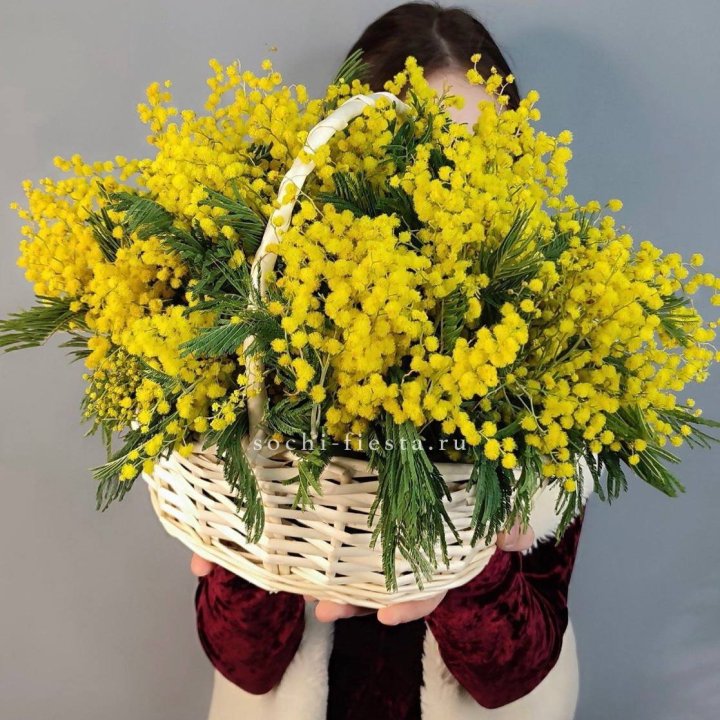 Корзина ароматной мимозы в Краснодаре