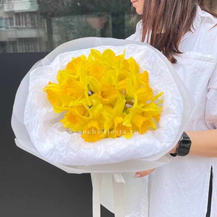 Нарциссы 25 шт в Краснодаре