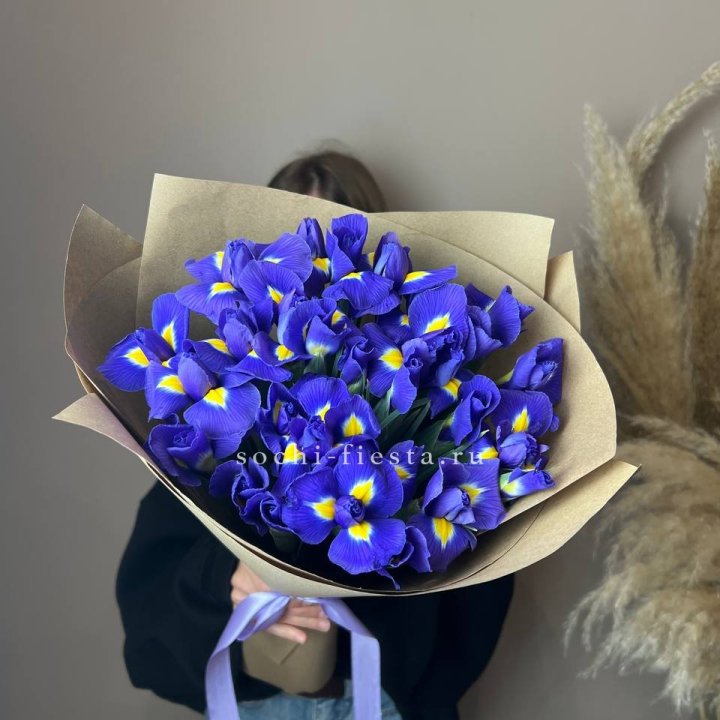 Ирисы в Краснодаре