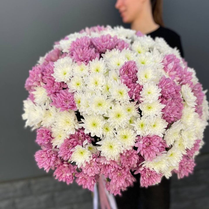  Букет 25 хризантем микс в Краснодаре