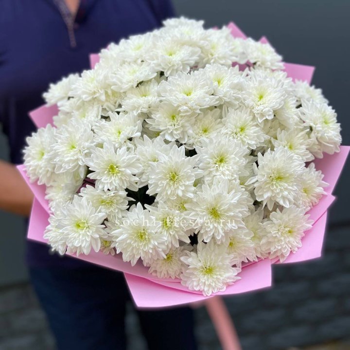  Букет 15 хризантем  в Краснодаре