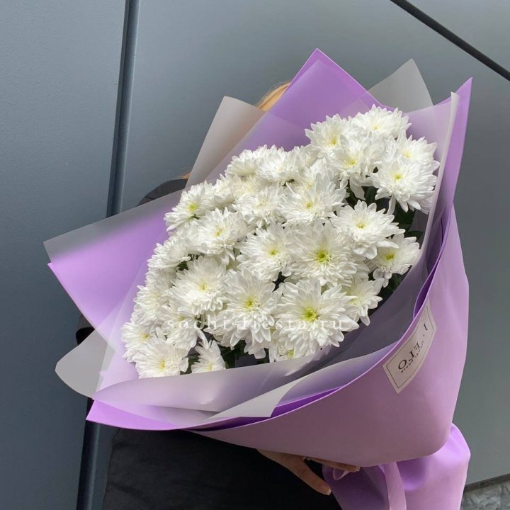  7 хризантем  в Краснодаре