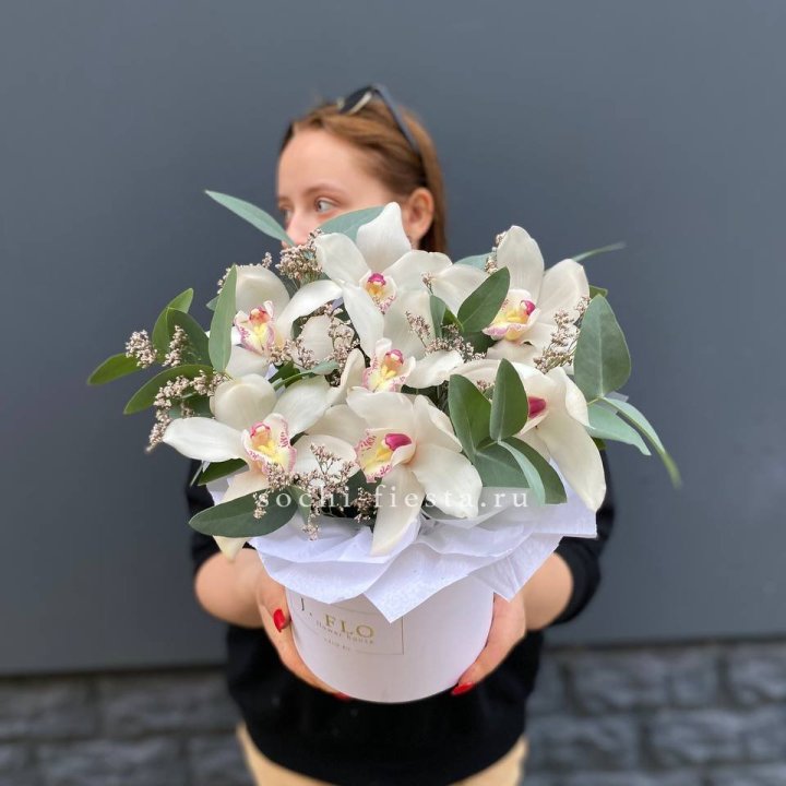 7 орхидей в боксе в Краснодаре