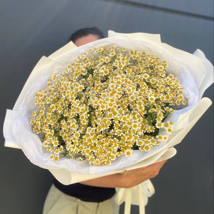Букет ромашек №2 в Краснодаре
