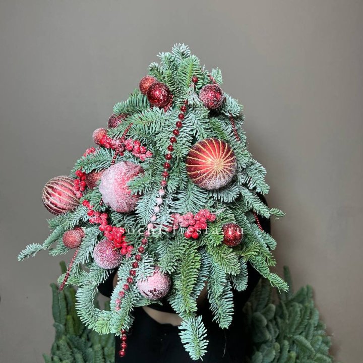 Ёлка красная в Краснодаре