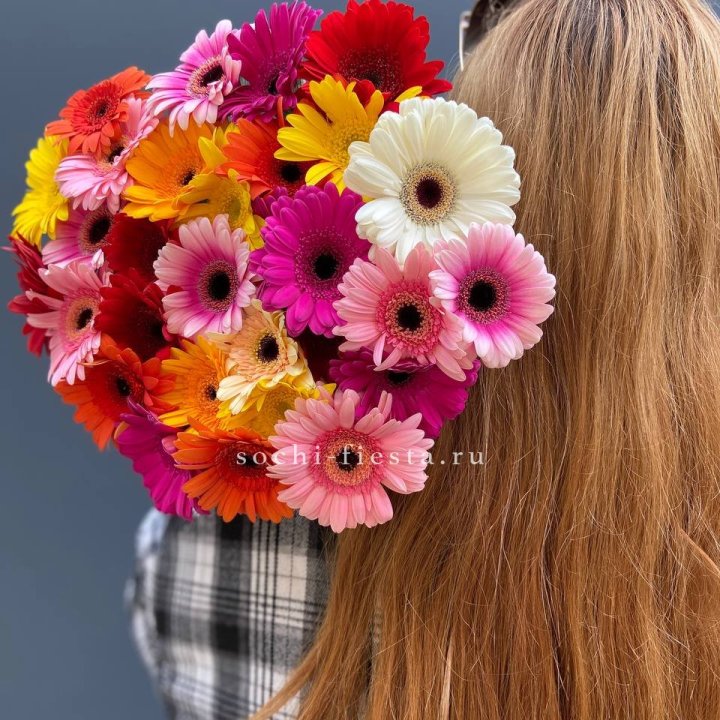 Охапка гербер  в Краснодаре